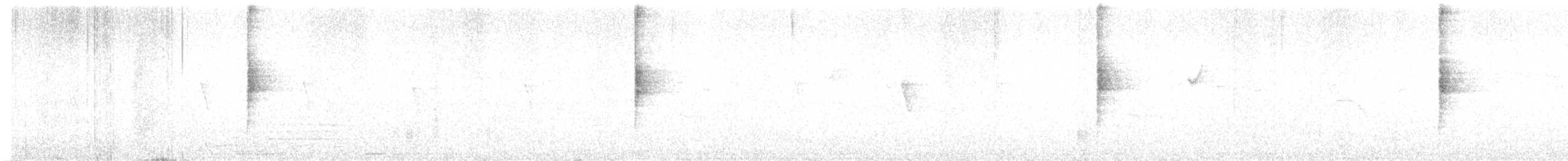 Northern Waterthrush - ML647823317