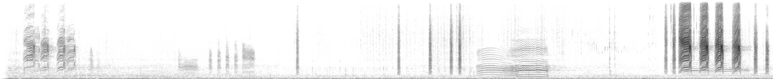 lasolet černolící - ML647824408