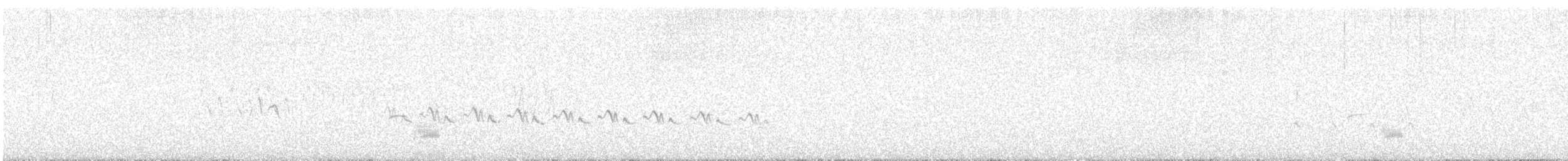 オカヨシガモ - ML647824573