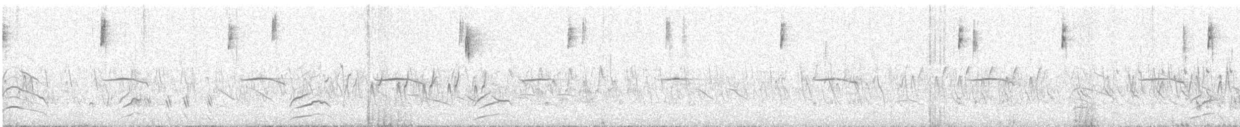 moták východní - ML647824802