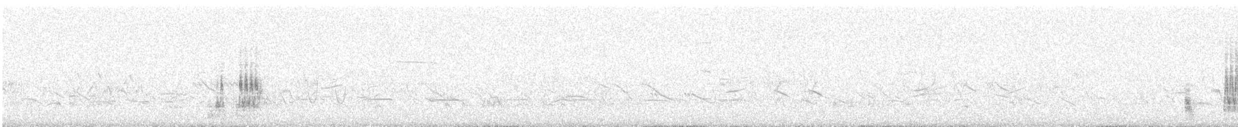 Short-eared Owl - ML647824850