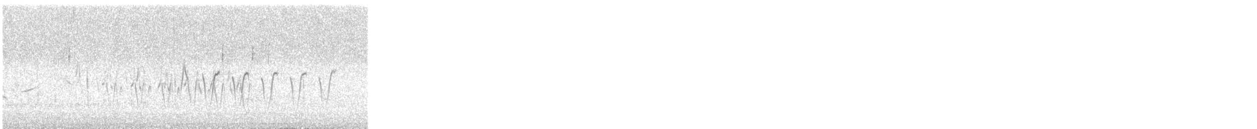 עלווית כהה - ML647824932