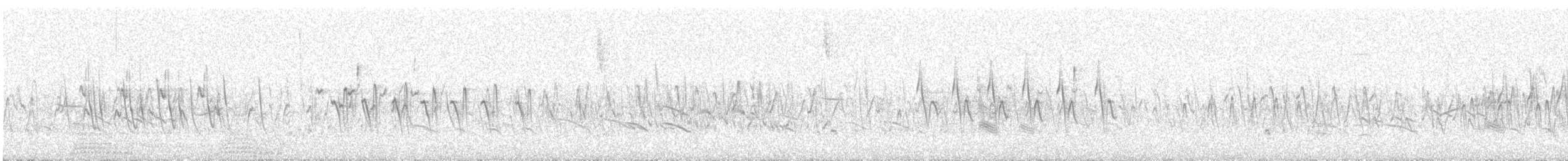 עלווית כהה - ML647824933