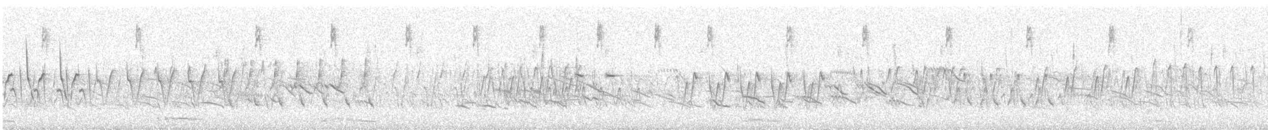 עלווית כהה - ML647824934