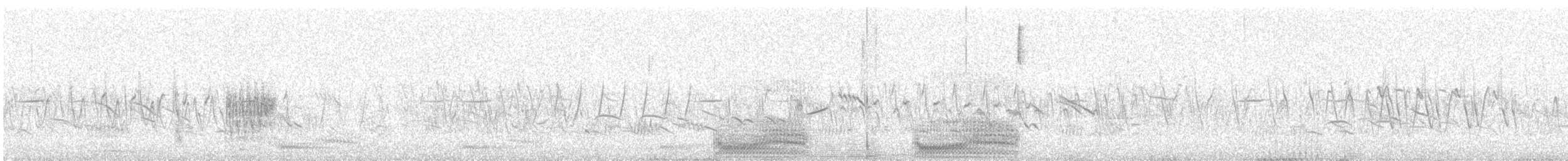 Tarier de Stejneger - ML647825036