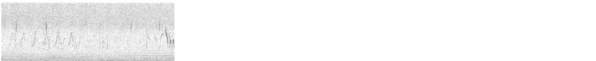 Bruant à oreillons - ML647825048