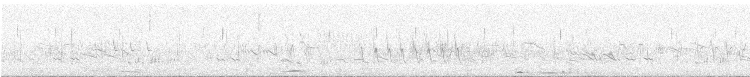 Bruant à oreillons - ML647825053