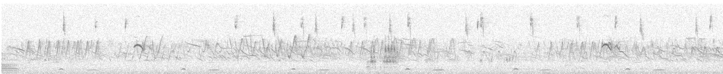 Bruant à oreillons - ML647825054