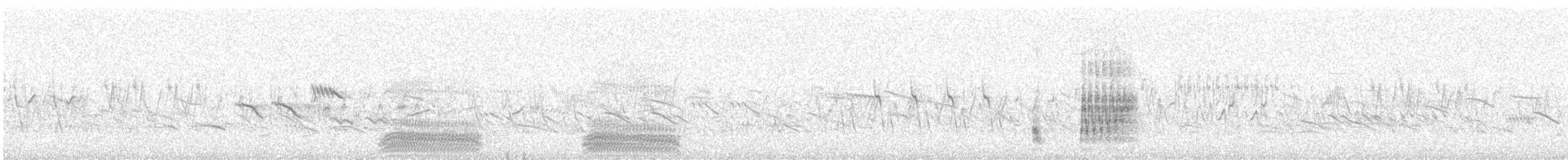 Вівсянка лучна - ML647825075