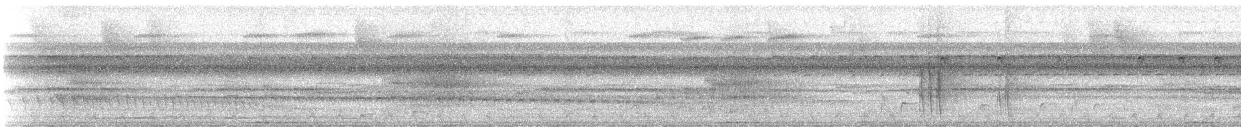 Pygmy Antwren - ML647826393