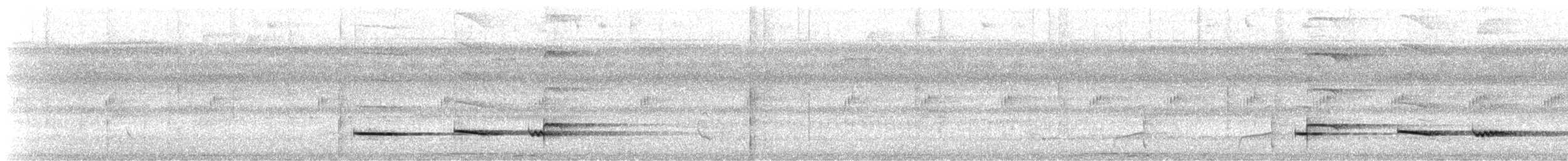 Pheasant Cuckoo - ML647826453