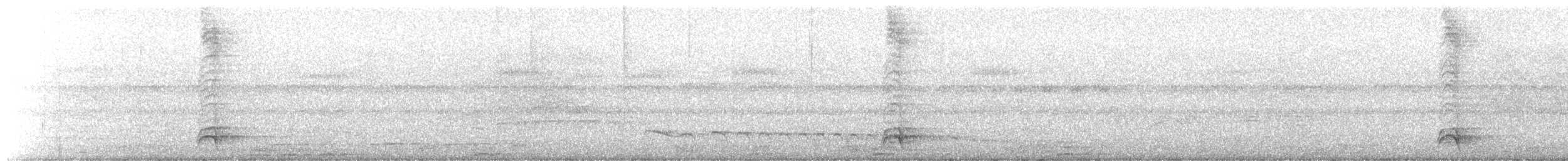 White-necked Thrush - ML647826614