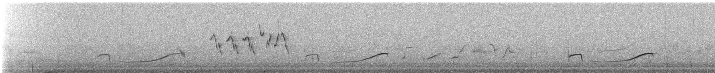 Pacific Golden-Plover - ML647827879