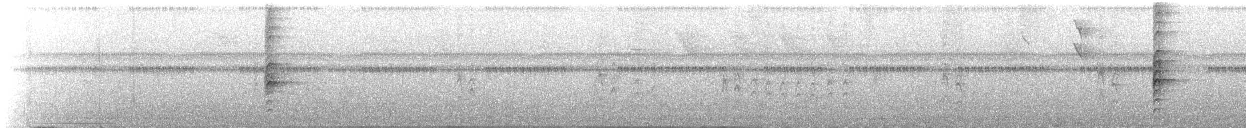 Little Cuckoo - ML647828180