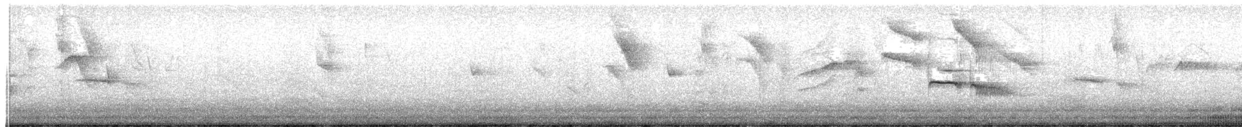 Southern Beardless-Tyrannulet - ML647828191