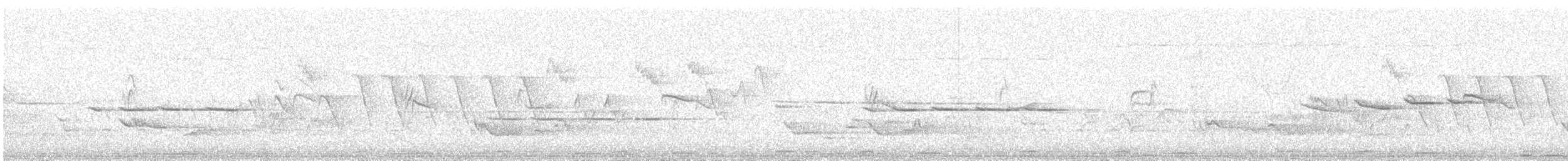 Oriental Cuckoo - ML647828280