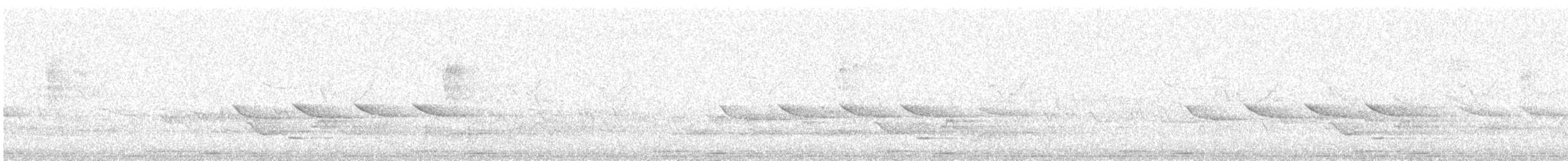 Willow Tit - ML647828378