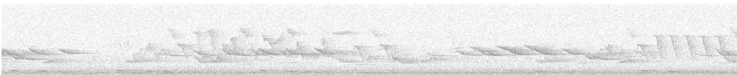 Wood Warbler - ML647828398