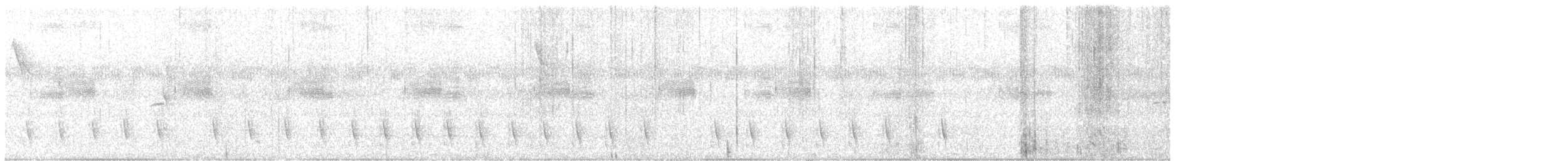 Serra Antwren (Serra) - ML647828499