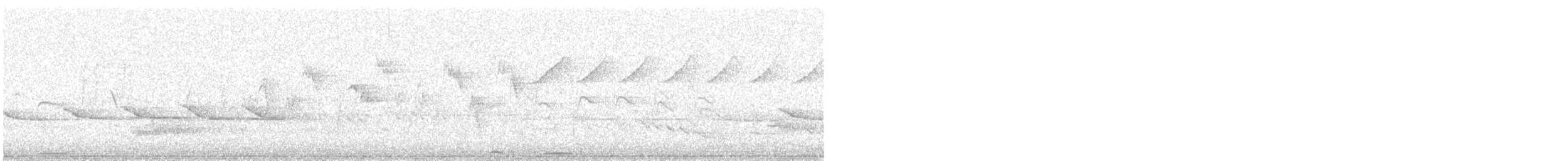 linduška olivová - ML647828580