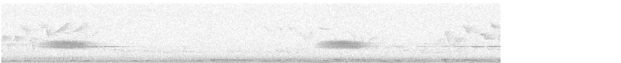 pěnkava jikavec - ML647828590