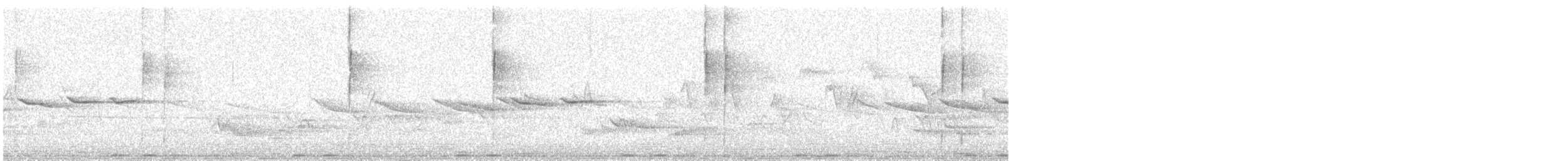 dlask tlustozobý - ML647828596