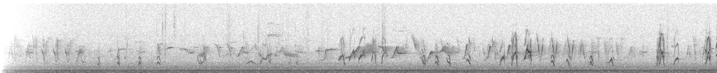 Wanderdrossel - ML647829713