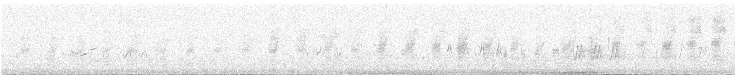 ハリオシギ - ML647830505