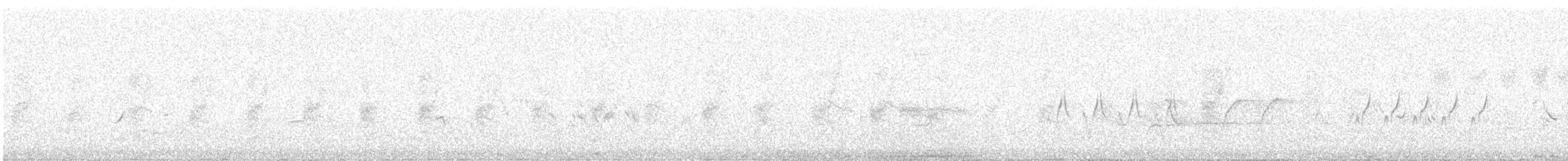 ハリオシギ - ML647830506