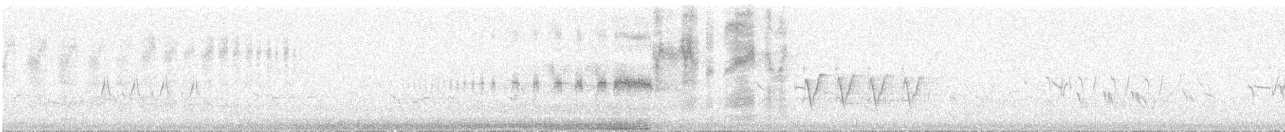 ハリオシギ - ML647830507