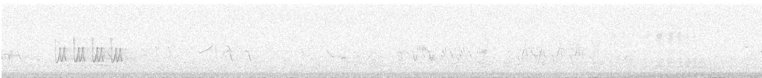 ハリオシギ - ML647830508