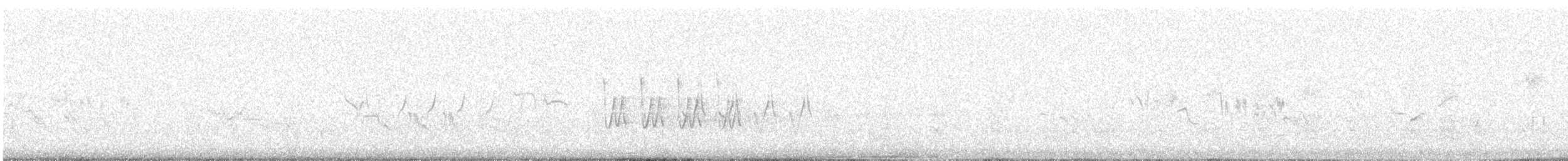 ハリオシギ - ML647830509