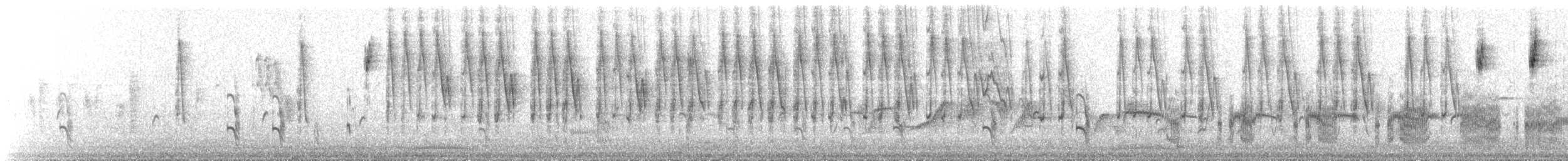 Northern Yellow Warbler - ML647830960