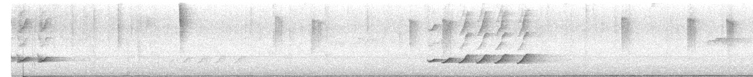 Tropikal Taklitçi - ML647831107