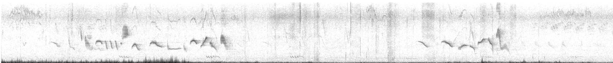 Kara Taşkuşu - ML647831721