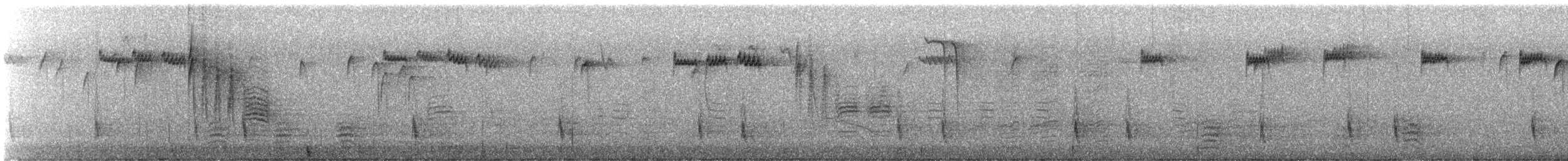 Münzevi Bülbül Ardıcı - ML647831796