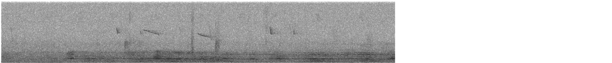 Amazilya Kolibrisi - ML647831867