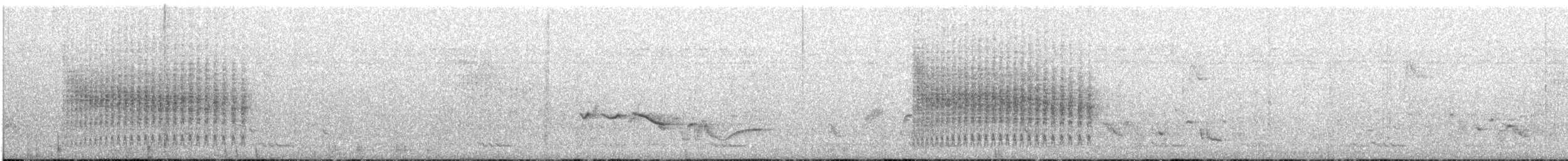 Common Iora - ML647832077