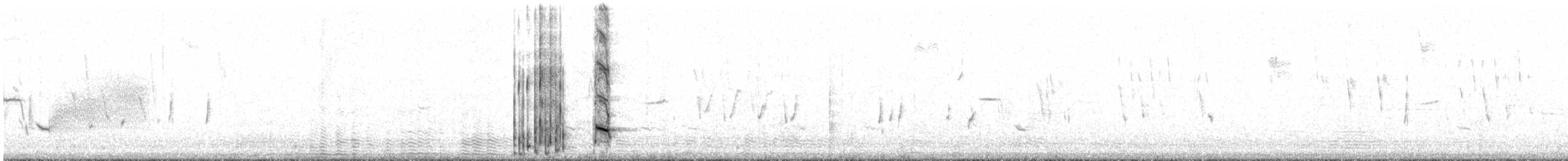 Denizci Kiskal - ML647832339