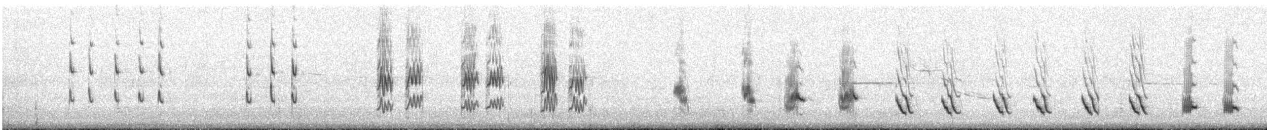 Kuzeyli Taklitçi - ML647832571