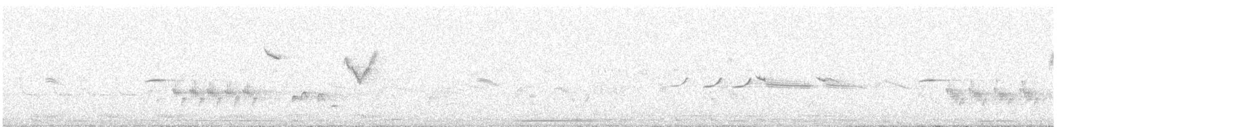 Sarı Kaşlı Çıvgın - ML647832691