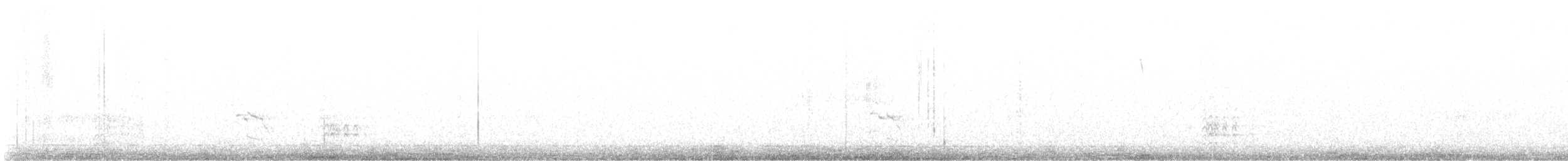 Beyaz Göğüslü Sıvacı - ML647833322