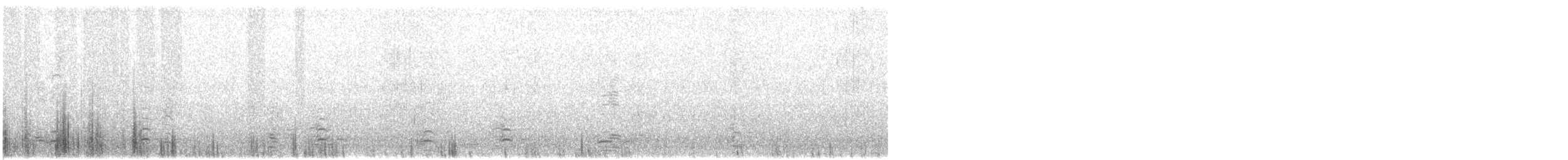 berneška malá - ML647834833