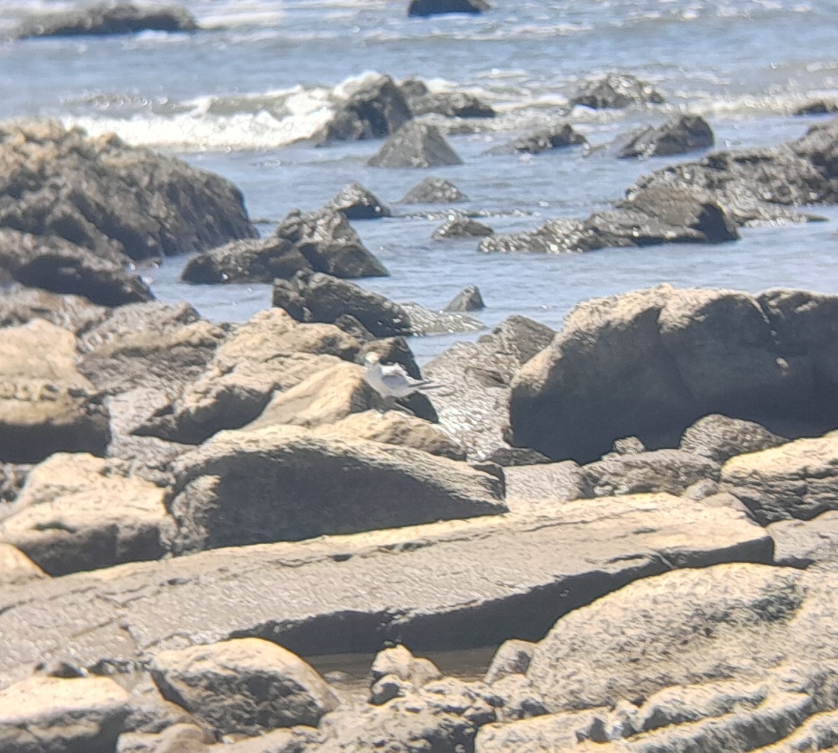 Sterne argentée - ML647834850