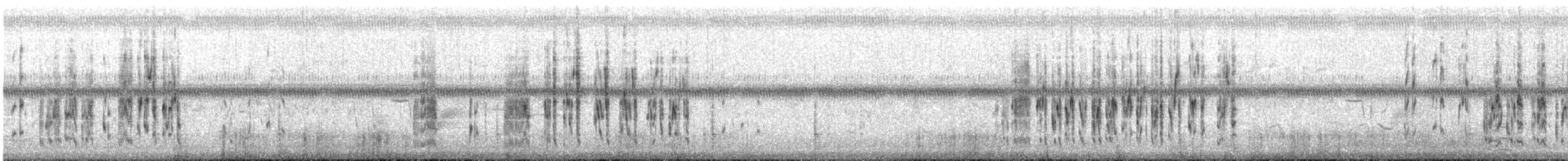 Marsh Wren - ML647835577