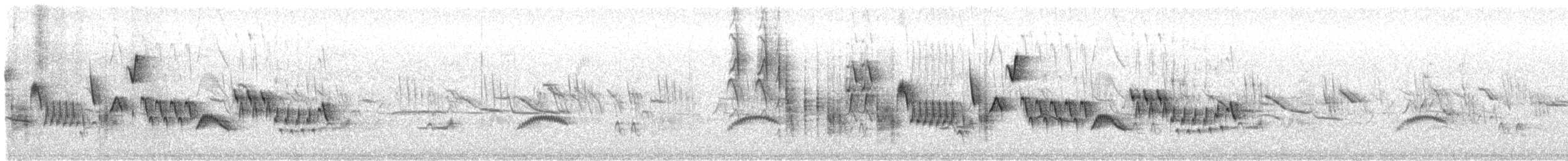 Southern House Wren - ML647837525