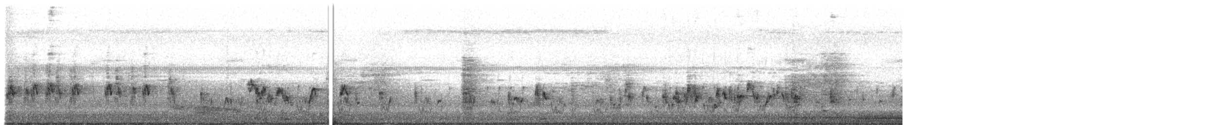 Bulbul à sourcils blancs - ML647837638