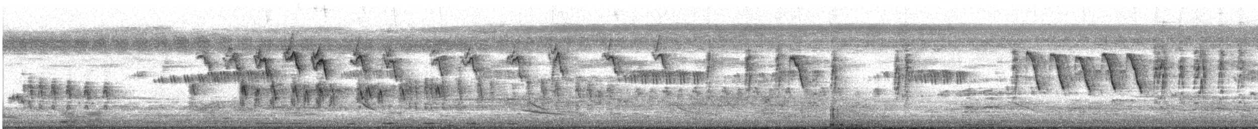 oiseau sp. - ML647837651