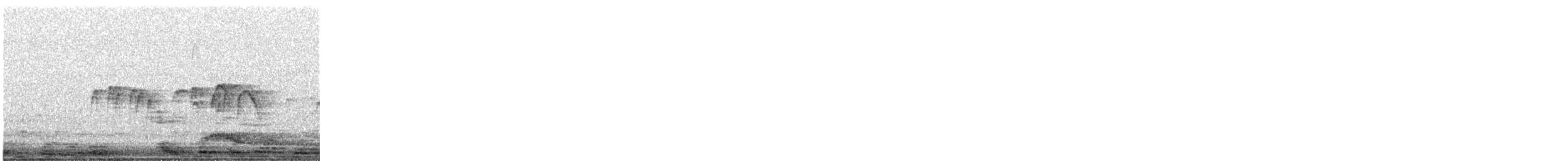 Bengalensegler - ML647838182