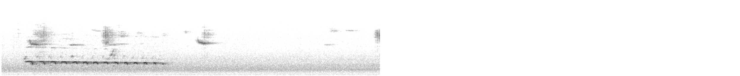 Pito Ibérico - ML647840104